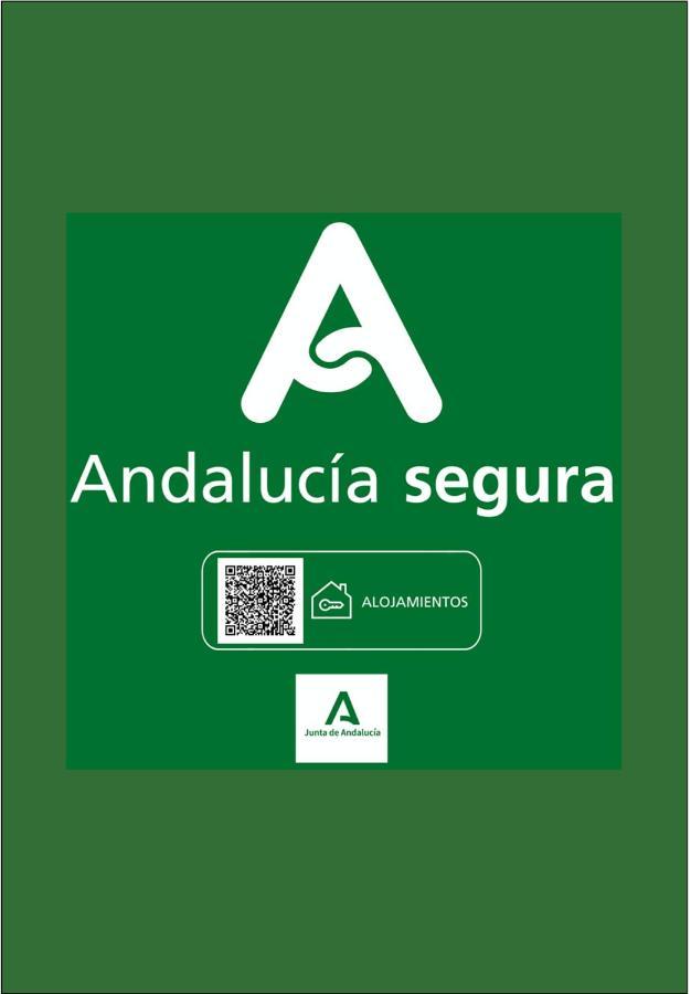 Holidays2Malaga Biedmas Terraza En Casco Historico 外观 照片